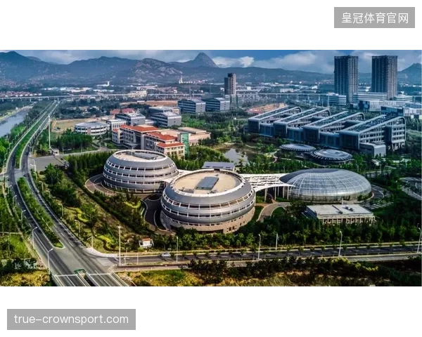 里昂战略新篇章：以青年为核心的长期攻势计划